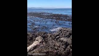 Robin Island in Cape Town, South Africa