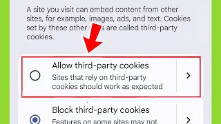 allow third party cookies kya hai | allow third party cookies ka matlab kya hota hai