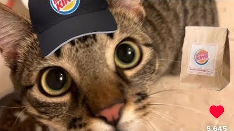 Slap Battles exploiter report #1