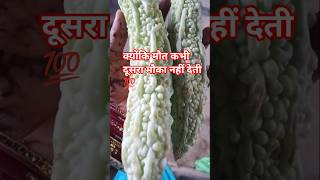 क्योंकि मौत कभी दूसरा मौका नहीं देती 💯