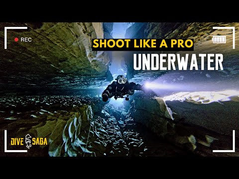 The Ultimate Scuba Steph Photo Collection!