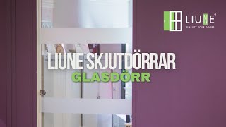 Glas Skjutdörrar Inbyggda I Väggen - Liune Door - Sverige