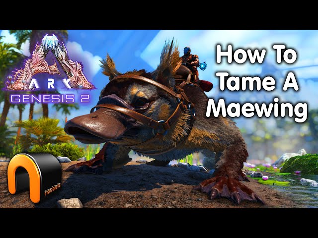 Ark Genesis Part 2 How To Tame A Maewing