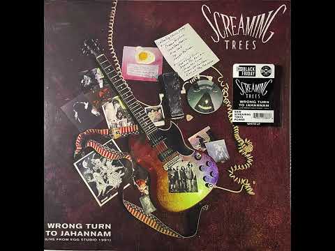 Screaming Trees  - End of The Universe Live 1991