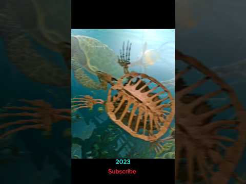 Archelon Turtle 2023