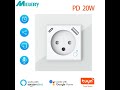 Review WiFi Tuya Smart Israel Wall Socket EU Standard Power Plug 2024