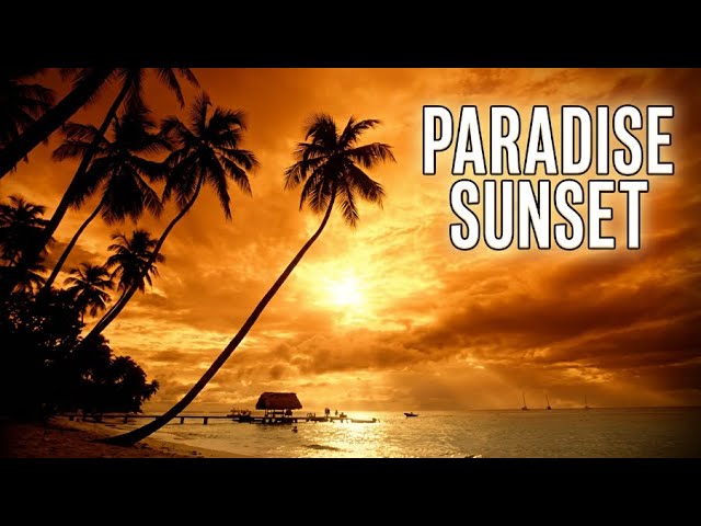 Reflection EternalNujabes