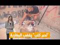 Networks Moroccan YouTuber Cooks A Dog On Eid Al Adha 