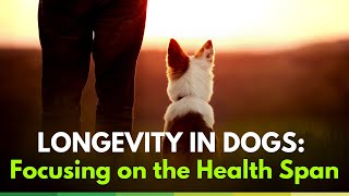 Longevity in Pets: Focusing on the Health Span / Rapamycin in Dogs