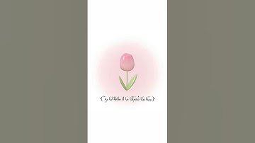 #quran #ياسر_الدوسري #سورة_البقرة #قرآن_كريم