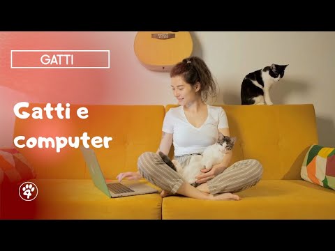 Video: Gatti Sulle Tastiere: Perché Li Amano (e Cosa Puoi Fare)