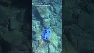 What?! A live-action version of Diver Dave is coming out!