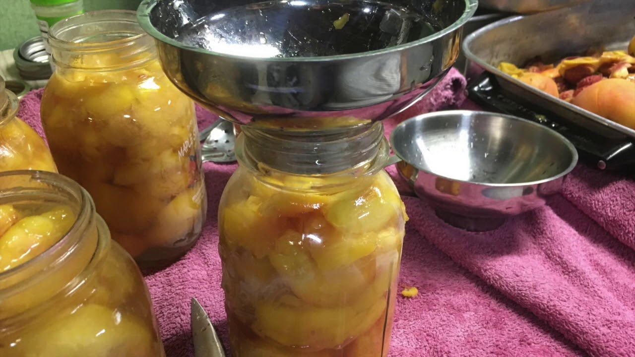 Canning Peaches with a Water Bath Canner YouTube