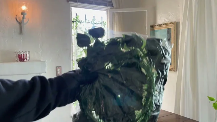 Before & After: Ivy on Window Bars!