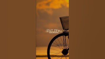 قالب قران|29العَنكَبُوتِAL‑‘ANKABŪT|القارئ عبدالرحمن مسعد