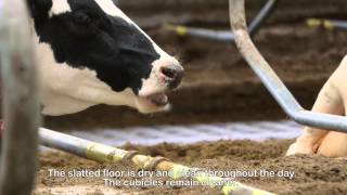Lely Discovery Testimonial Jack Nicolaes