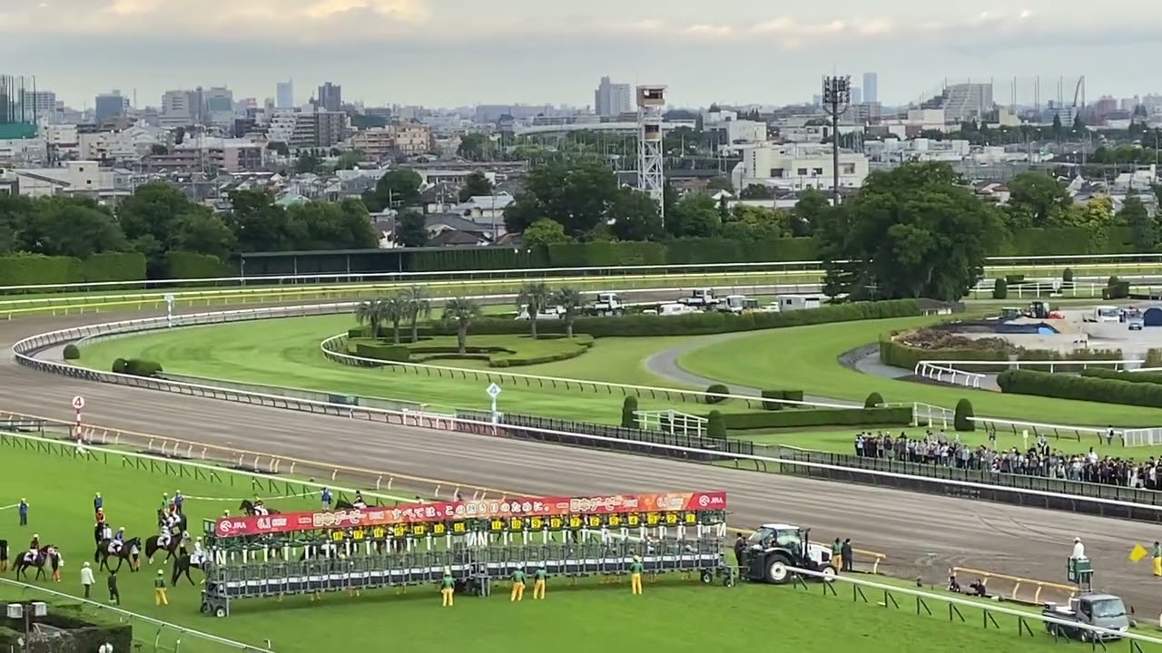 2025年第45回ジャパンカップ＆第92回日本ダービー 貴賓室セット