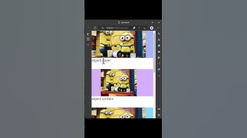 Tailwindcss | Object Fit   #shorts