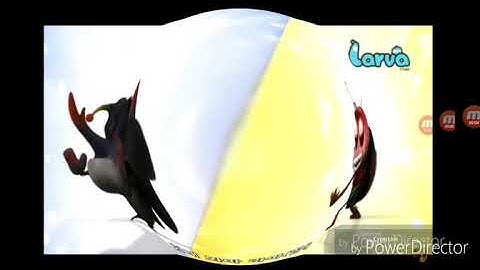 Larva Intro 2 0 Jeffy Major