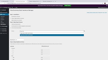 Atributos, términos y variaciones - WPcommerce Fácil