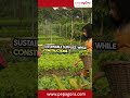Explained Top B2B Categories with Pepagora.com your B2B Wholesale Marketplace #smegrowth #sorts