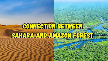 What is the  Connection Between Sahara desert And Amazon Forest #thewwinsight