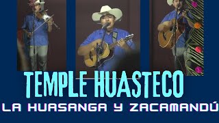 😎DE LOS CAROS &quot;LA HUASANGA y ZACAMANDÚ&quot; Trío Temple Huasteco