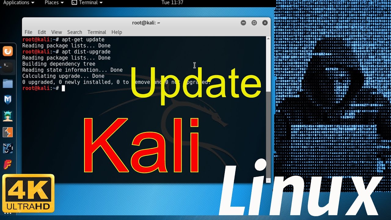 How to Upgrade your Kali Linux to Latest Version - YouTube
