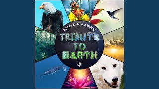 Tribute to Earth (Mixed)