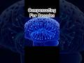 Your Brain Compensates For Memory Loss For Decades. #BrainHealth #Neuroplasticity #Compensation