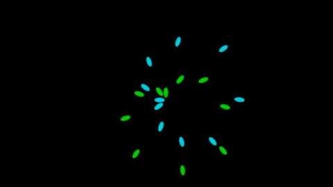 bullet hell example [1]