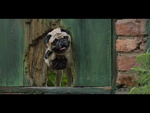 Vodafone - Stronger