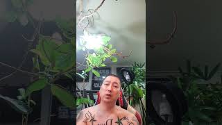 [ 특강 ] 사업자금 정부지원금 받는 사람이 잘될 확률은 거의 없다? 그런데 왜 정부가 지원해줄까?