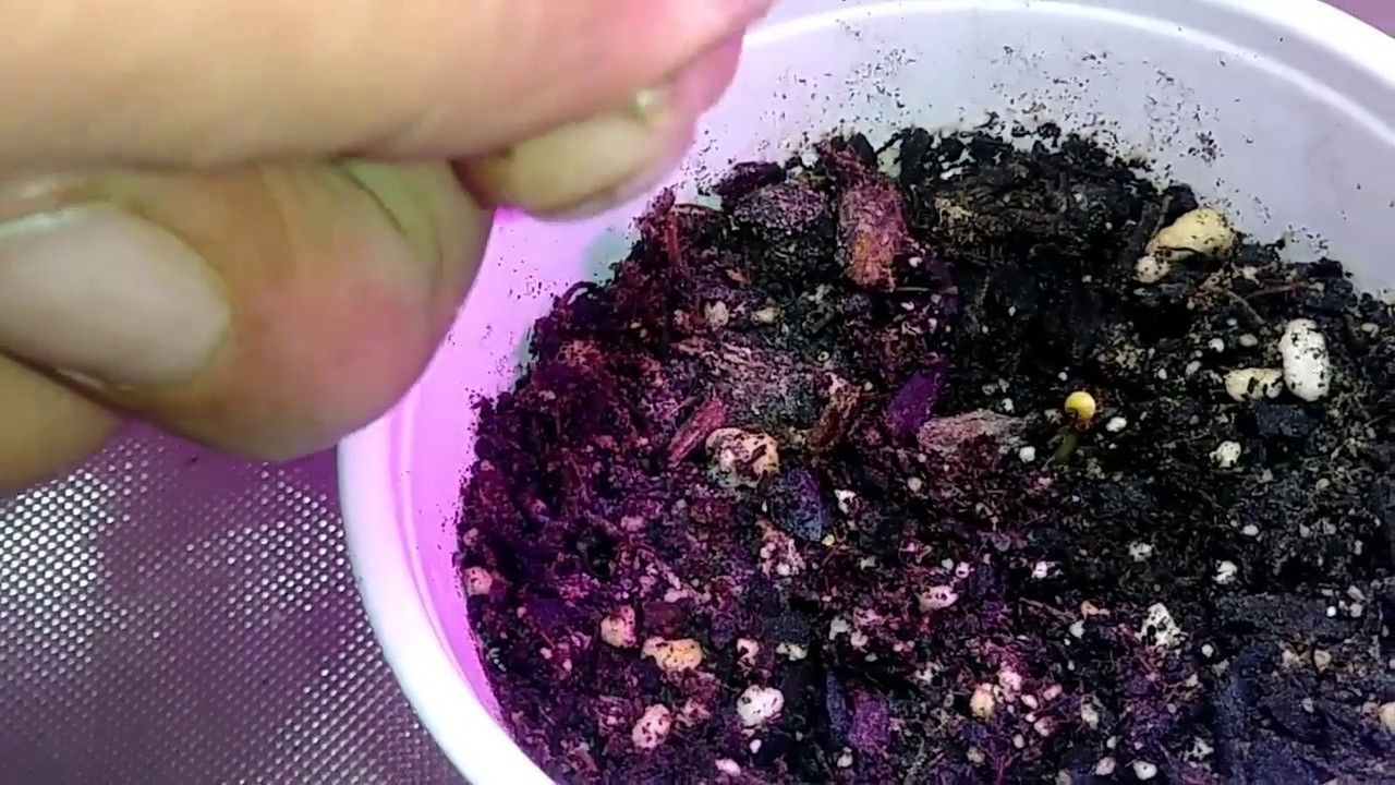 How To Make A Boring Video YouTube