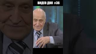 Видео дня #36 . Николай Дроздов . 3 стадии опьянения . #npbfx