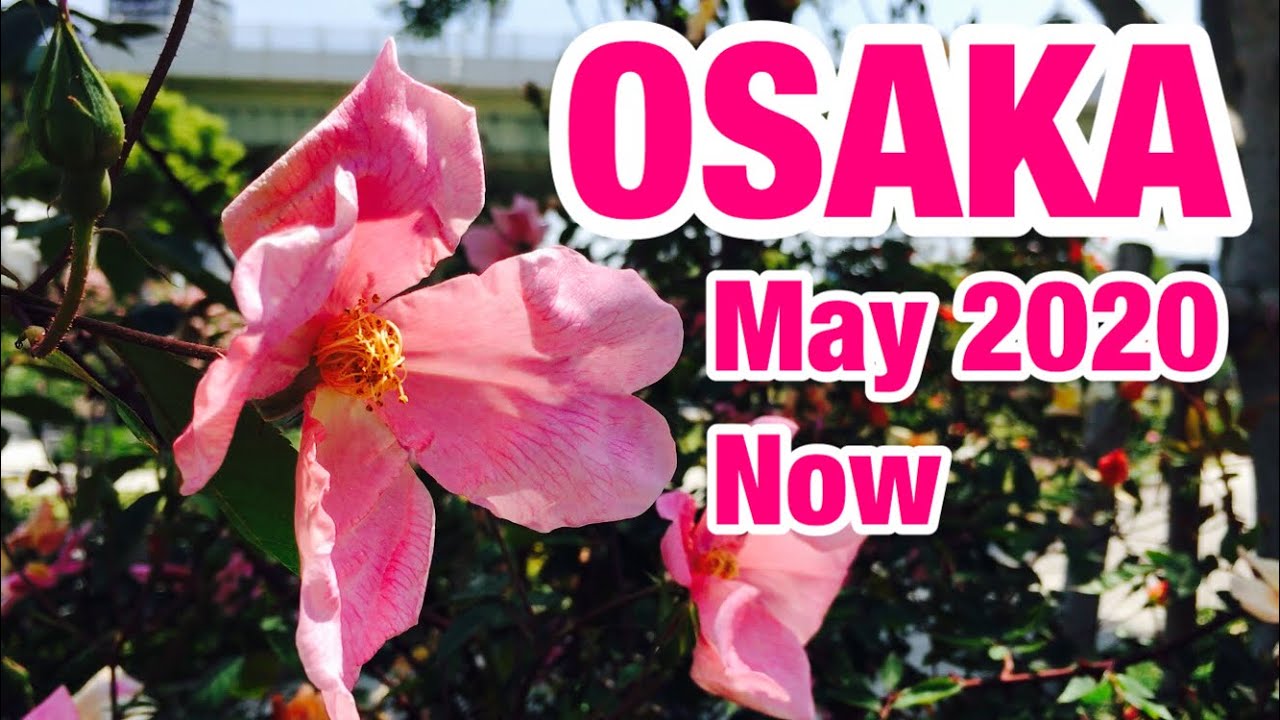 【Children's day】JAPAN Now 、May 2020 、Urban oasis 「osaka morning 140