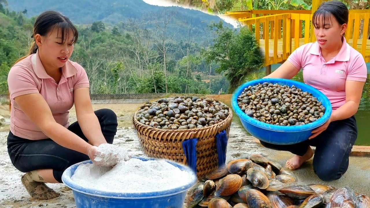 Catch snails to sell at the market, use lime to disinfect ponds ...