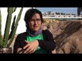 Interview of Juliana Rojas