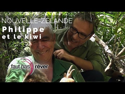 Nouvelle-Zélande, voyage aux antipodes - Philippe et le kiwi (plateau intégral) - #fautpasrever