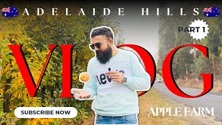 Adelaide Hills 🏜️ South Australia 🇦🇺