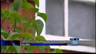 Clatsop Co. kicks off Operation Pandora's Box