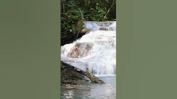 ساظل طول العمر بابك أقرع 