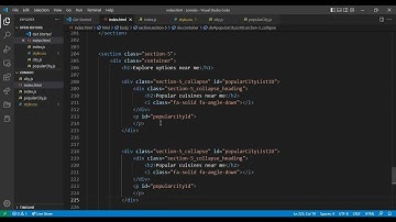 How to clone a zomato website using HTML and CSS - explore section