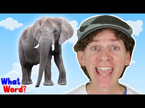 Video: När ska man använda ordet elefant?