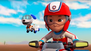 Paw Patrol - Robo-Dog Season 6 Compilation Wildbrain Zoo Kids Cartoons