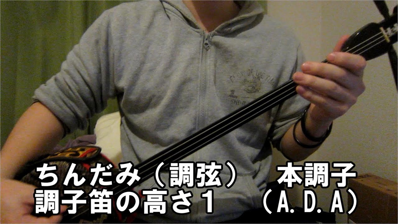 三線 ちんだみ 調弦 本調子 調子笛の高さ1 電子チューナーa D A Youtube 三線 ちんだみ 調弦 本調子 調子笛の高さ1 電子チューナーa D A Youtube