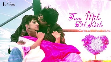 Tum Mile Dil Khile | Nagarjuna &  Manisha Koirala | Criminal