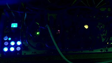 First Patch with Make Noise TEMPI - Generative Modular (STO + Wogglebug + Maths)