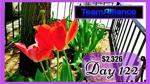 ➡️ $2,326 Made in 122 DAYS with NADEX Binary Options | #TeamAlliance