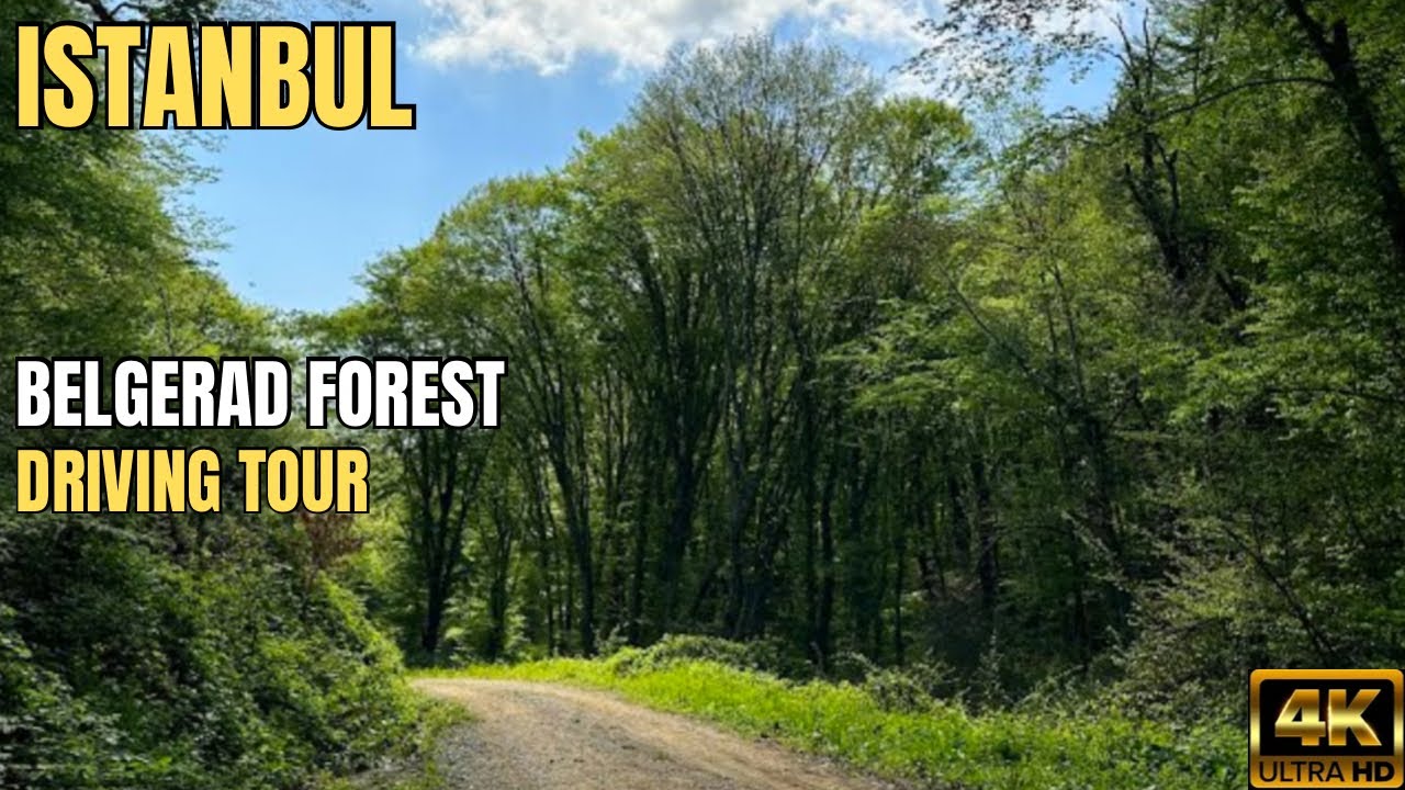 🇹🇷 Driving tour Belgerad Forest Istanbul Turkey 4K